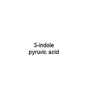 3-indole pyruvic acid